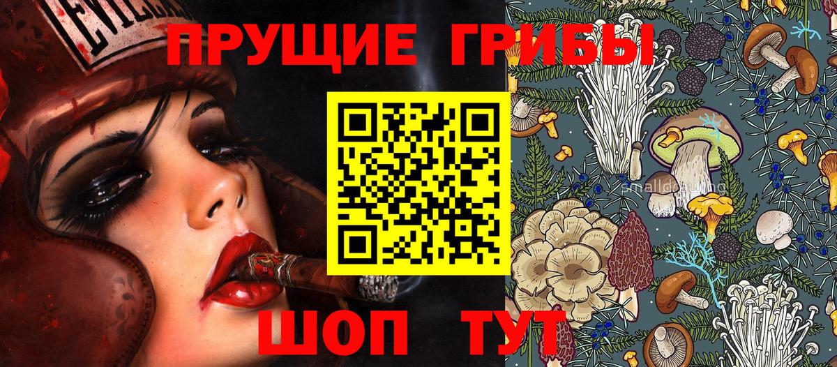Псилоцибиновые грибы ЛСД Коряжма