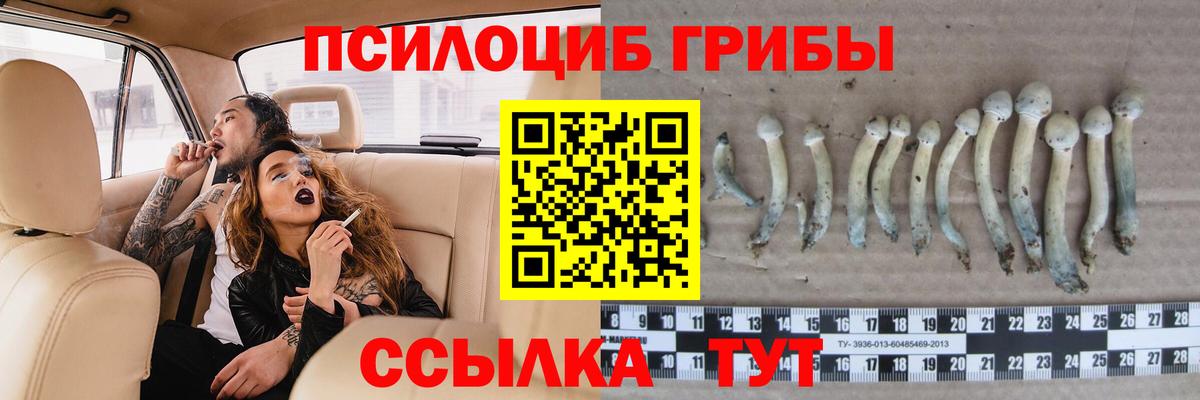 наркотики  Псилоцибиновые грибы MAGIC MUSHROOMS  Вход с VPN  Коряжма 